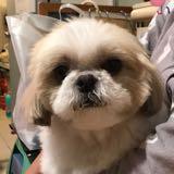 （分類：）位於 。 由 ronnilam 提交（商品編號 1375780845，圖片 1）。簡介： 。