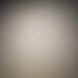 (Category: ) located in . Submitted by ashwww (Listing ID 1378564855, Image 1). Description: .