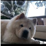 (Category: ) located in . Submitted by purselovebytin (Listing ID 1337297926, Image 1). Description: .