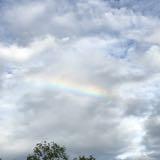 (Category: ) located in . Submitted by smalllittle.m2 (Listing ID 1329484930, Image 1). Description: .