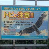 由 toshihide_josh (刊登 ID 1229695895，圖片 1) 提交，位於 的 (類別：)，說明：。