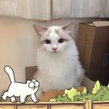 (分類:)位於 。 由 ptchow 提交(商品編號 1454784870,圖片 1)。簡介: 。