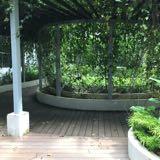 (Category: ) located in . Submitted by thasarathan (Listing ID 1185332066, Image 1). Description: .