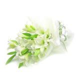 (Kategori: ) berada di . Dikirim oleh maybells (ID iklan 1353555903, Gambar 1). Deskripsi: .