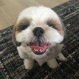 (Category: ) located in . Submitted by momofan (Listing ID 1381554990, Image 1). Description: .