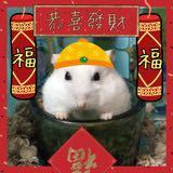 （分類：）位於 。 由 captainteemosellingthings 提交（商品編號 1384557864，圖片 1）。簡介： 。