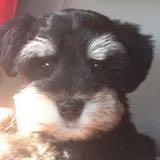 (Category: ) located in . Submitted by cutebebe (Listing ID 1359003723, Image 1). Description: .