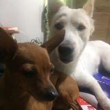 (Category: ) located in . Submitted by edether (Listing ID 1374147246, Image 1). Description: .