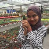 (Category: ) located in . Submitted by farahesas (Listing ID 1384105458, Image 1). Description: .