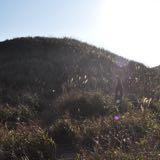 （分類：）位於 。 由 zinctro 提交（商品編號 1371814435，圖片 1）。簡介： 。