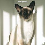 （分類：）位於 。 由 seller_sandi 提交（商品編號 1373734928，圖片 1）。簡介： 。