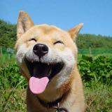 （分類：）位於 。 由 carcar6 提交（商品編號 1267428901，圖片 1）。簡介： 。