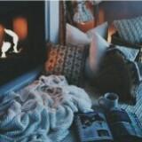 (Category: ) located in . Submitted by desirexx (Listing ID 286265165, Image 1). Description: .