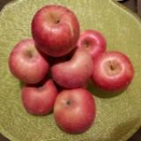 (Category: ) located in . Submitted by pgapple (Listing ID 1380765747, Image 1). Description: .