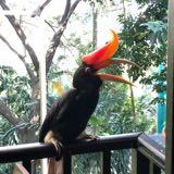 （分類：）位於 。 由 jumbo1234 提交（商品編號 1303532145，圖片 1）。簡介： 。