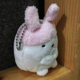 （分類：）位於 。 由 rabbitflower13 提交（商品編號 1341637777，圖片 1）。簡介： 。