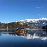 (Category: ) located in . Submitted by rowaboat (Listing ID 1356859538, Image 1). Description: .