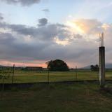 (Category: ) located in . Submitted by bv1234 (Listing ID 1379465704, Image 1). Description: .