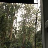 (Category: ) located in . Submitted by anubansal17 (Listing ID 1221888733, Image 1). Description: .