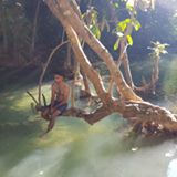 (Category: ) located in . Submitted by ehsan-i (Listing ID 1336411682, Image 1). Description: .