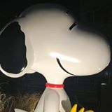 （分類：）位於 。 由 maemaeho 提交（商品編號 1281589758，圖片 1）。簡介： 。