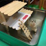 （分類：）位於 。 由 murphyw 提交（商品編號 1087045394，圖片 1）。簡介： 。