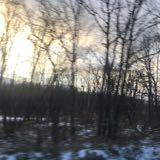 (Category: ) located in . Submitted by fayee168 (Listing ID 1375960782, Image 1). Description: .
