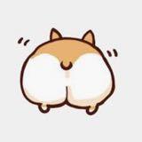 由 love_corgi (刊登 ID 1349523214，圖片 1) 提交，位於 的 (類別：)，說明：。