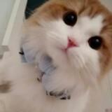 (Category: ) located in . Submitted by caass (Listing ID 1386166327, Image 1). Description: .