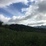 (Category: ) located in . Submitted by dcr0905 (Listing ID 1376718132, Image 1). Description: .