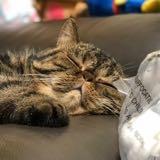 （分類：）位於 。 由 timmy1888 提交（商品編號 1282545909，圖片 1）。簡介： 。