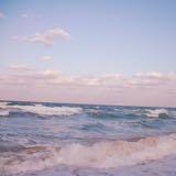 (Category: ) located in . Submitted by 81hrs (Listing ID 1377917902, Image 1). Description: .