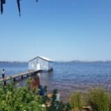 (Category: ) located in . Submitted by penguinbl (Listing ID 1337616202, Image 1). Description: .