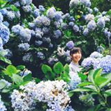 由 tingyuzhou (刊登 ID 1328828215，圖片 1) 提交，位於 的 (類別：)，說明：。