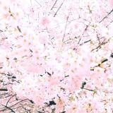 （分類：）位於 。 由 missgoodthings 提交（商品編號 1322042009，圖片 1）。簡介： 。