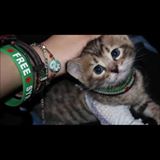 (Category: ) located in . Submitted by molame (Listing ID 158980567, Image 1). Description: .