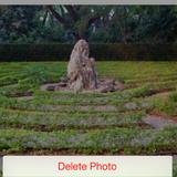 (Category: ) located in . Submitted by tmg777 (Listing ID 1375845402, Image 1). Description: .