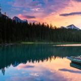(Category: ) located in . Submitted by saquatics (Listing ID 1342912235, Image 1). Description: .