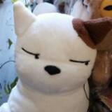 （分類：）位於 。 由 kidyiiiw 提交（商品編號 283649455，圖片 1）。簡介： 。