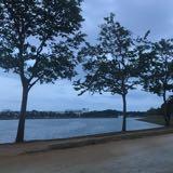 (Category: ) located in . Submitted by lorrsp (Listing ID 1370191285, Image 1). Description: .
