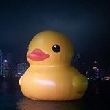 （分類：）位於 。 由 v36900337 提交（商品編號 1302068351，圖片 1）。簡介： 。