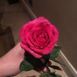 (Category: ) located in . Submitted by glambella_ (Listing ID 1364802453, Image 1). Description: .