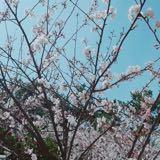 (Category: ) located in . Submitted by zhxngxy (Listing ID 1471249018, Image 1). Description: .