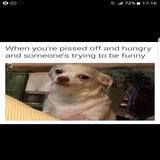 (Category: ) located in . Submitted by androiduserr (Listing ID 1328741912, Image 1). Description: .