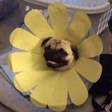 (Category: ) located in . Submitted by distracted123 (Listing ID 1319239585, Image 1). Description: .