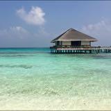 (Category: ) located in . Submitted by maldives17 (Listing ID 1368617966, Image 1). Description: .