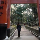 由 _____hsuan____ (刊登 ID 1380824872，圖片 1) 提交，位於 的 (類別：)，說明：。