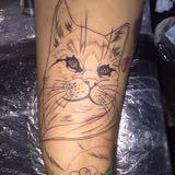 (Category: ) located in . Submitted by 88407 (Listing ID 1332583034, Image 1). Description: .