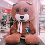 (Category: ) located in . Submitted by bq22q (Listing ID 1379460558, Image 1). Description: .