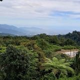 (Kategori: ) berada di . Dikirim oleh knya15 (ID iklan 1385940839, Gambar 1). Deskripsi: .